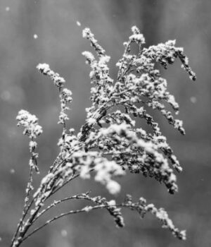 На Харків-суне-негода:-про-що попереджають-синоптики-та коли-вдарять-люті-морози