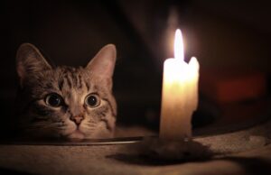 Графіки вимкнення електроенергії на Волині 7 лютого Графіки-вимкнення-електроенергії-на-Волині-7-лютого