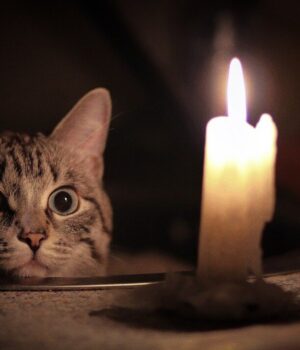 Графіки-вимкнення-електроенергії-на-Волині-7-лютого