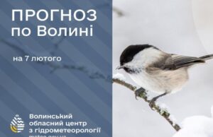 Погода у Луцьку та на Волині у суботу, 7 лютого Погода-у-Луцьку-та-на-Волині-у-суботу,-7-лютого