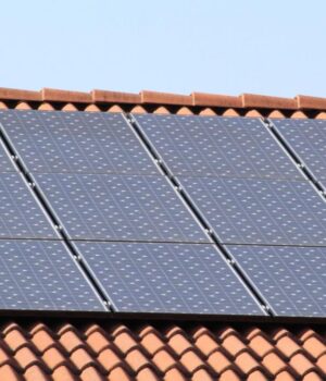 Цього-не-кажуть-перед-встановленням-сонячних-панелей:-домовласник-про-особистий-досвід