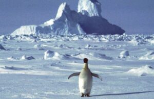 Під льодом Антарктиди знайшли десятки тисяч невідомих структур: що показала нова карта Під-льодом-Антарктиди-знайшли-десятки-тисяч-невідомих-структур:-що-показала-нова-карта