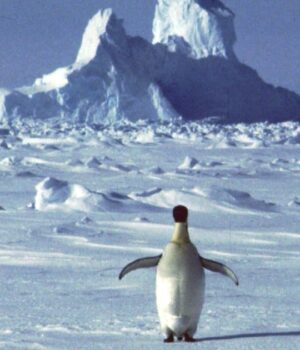 Під-льодом-Антарктиди-знайшли-десятки-тисяч-невідомих-структур:-що-показала-нова-карта