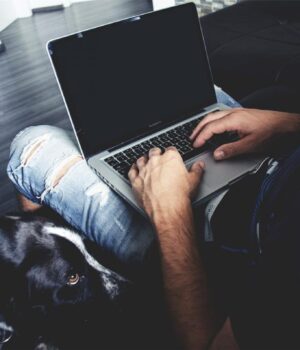 Яку-породу-собаки-обрати,-якщо-ви-працюєте-з-дому:-ветеринари-перелічили-8-варіантів