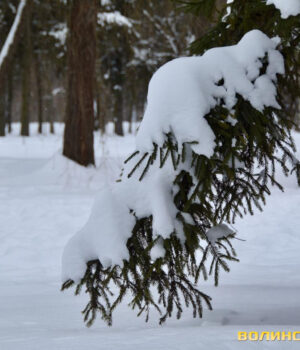 Сніг-на-вихідних,-а-з-понеділка-похолодання.-Погода-на-Волині-знову-капризує
