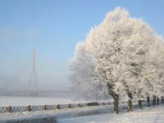 В Україні хмарно, сніг та дощ: оприлюднено прогноз на 7 лютого В Україні хмарно, сніг та дощ: оприлюднено прогноз на 7 лютого