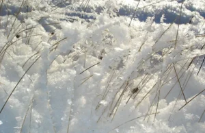 В Україні 7 лютого очікується І рівень небезпечності – Гідрометцентр В-Україні-7-лютого-очікується-І-рівень-небезпечності-–-Гідрометцентр