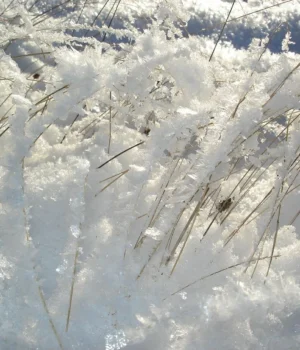 В-Україні-7-лютого-очікується-І-рівень-небезпечності-–-Гідрометцентр