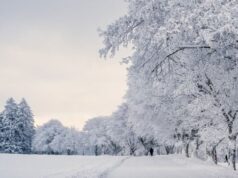 Погода у Луцьку та на Волині у неділю, 8 лютого Погода-у-Луцьку-та-на-Волині-у-неділю,-8-лютого