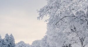 Погода у Луцьку та на Волині у неділю, 8 лютого Погода-у-Луцьку-та-на-Волині-у-неділю,-8-лютого