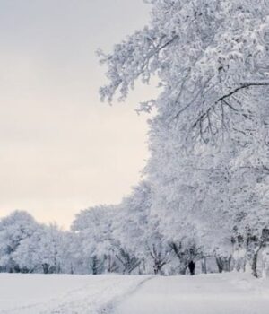 Погода-у-Луцьку-та-на-Волині-у-неділю,-8-лютого