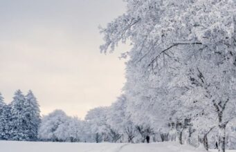 Погода у Луцьку та на Волині у неділю, 8 лютого Погода-у-Луцьку-та-на-Волині-у-неділю,-8-лютого