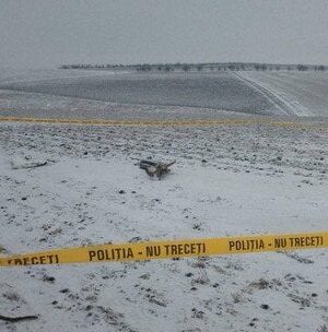 Третій-з-початку-року:-у-Молдові-знову-впав-дрон-“Гербера”