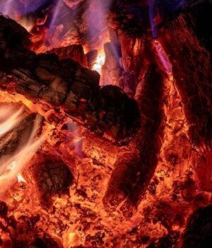 Учені-з’ясували,-що-опіки-від-вогню-підштовхнули-еволюцію-людства