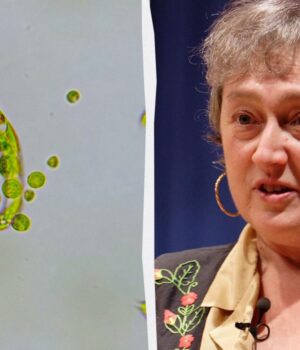 Цю-теорію-відкинули-15-разів:-як-одна-жінка-переписала-історію-походження-життя