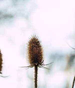 День-ангела-8 лютого:-кого-та як вітати-з іменинами