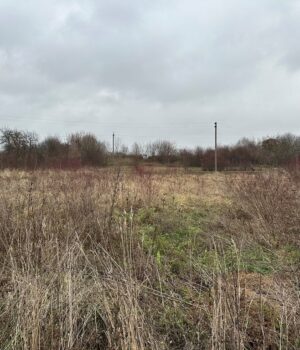 У-місті-на-Волині-за-400-тисяч-продають-комунальну-ділянку