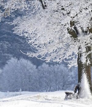 Погода-на-9-лютого:-нічні-морози-до-22