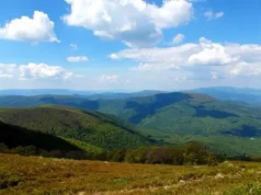 АРМА скасувало продаж 460 га земель на Боржаві через зв’язки покупців із рф АРМА скасувало продаж 460 га земель на Боржаві через зв’язки покупців із рф