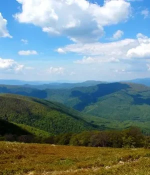 АРМА скасувало продаж 460 га земель на Боржаві через зв’язки покупців із рф