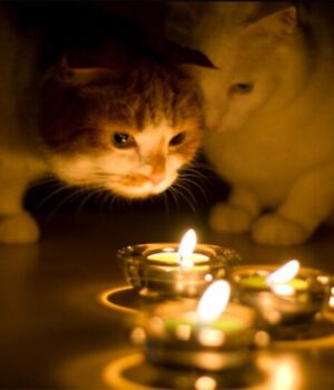 Графіки-вимкнення-електрики-на-Волині-9-лютого