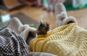 9 лютого до України увірветься нова хвиля сильних морозів 9-лютого-до-України-увірветься-нова-хвиля-сильних-морозів