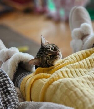 9-лютого-до-України-увірветься-нова-хвиля-сильних-морозів