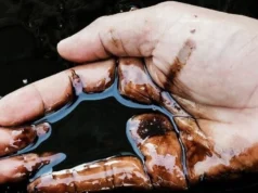 Ціни на нафту падають через Ціни на нафту падають на тлі розрядки напруженості на Близькому... Ціни-на-нафту-падають-через-Ціни-на-нафту-падають-на-тлі-розрядки-напруженості-на-Близькому.