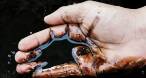 Ціни на нафту падають через Ціни на нафту падають на тлі розрядки напруженості на Близькому... Ціни-на-нафту-падають-через-Ціни-на-нафту-падають-на-тлі-розрядки-напруженості-на-Близькому.