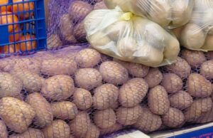 Скільки коштує картопля на ринку у Луцьку: огляд цін Скільки-коштує-картопля-на-ринку-у-Луцьку:-огляд-цін