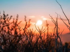 Найближча ніч в Україні схоже завершить період "лютої холоднечі" – синоптик Найближча-ніч-в-Україні-схоже-завершить-період-"лютої-холоднечі"-–-синоптик