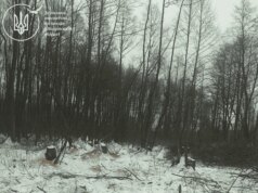 На Волині виявили незаконну вирубку дерев на майже 2 мільйони гривень На-Волині-виявили-незаконну-вирубку-дерев-на-майже-2-мільйони-гривень