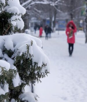 10-лютого-в-Україні-буде-останній-холодний-день-перед-потеплінням