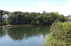 Смертельна пастка: в Європі є безлюдний острів із незвичним статусом Смертельна-пастка:-в-Європі-є-безлюдний-острів-із-незвичним-статусом