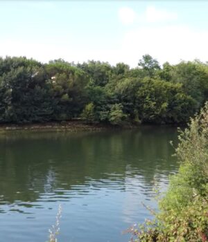 Смертельна-пастка:-в-Європі-є-безлюдний-острів-із-незвичним-статусом