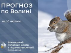 Якою буде погода у Луцьку та на Волині у вівторок, 10 лютого Якою-буде-погода-у-Луцьку-та-на-Волині-у-вівторок,-10-лютого