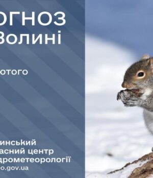 Якою-буде-погода-у-Луцьку-та-на-Волині-у-вівторок,-10-лютого