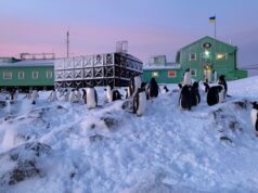 «Бойові пінгвіни» на фронті. Як Антарктида непомітно допомагає Україні у війні? «Бойові-пінгвіни»-на-фронті.-Як-Антарктида-непомітно-допомагає-Україні-у-війні?