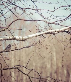 День-ангела-10 лютого:-кого-та як вітати-з іменинами