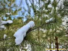 Останній морозний день, а потім потепліє: якою буде погода на Волині цього тижня Останній-морозний-день,-а-потім-потепліє:-якою-буде-погода-на-Волині-цього-тижня