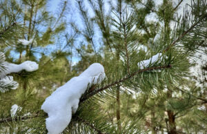 Останній морозний день, а потім потепліє: якою буде погода на Волині цього тижня Останній-морозний-день,-а-потім-потепліє:-якою-буде-погода-на-Волині-цього-тижня