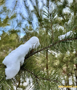 Останній-морозний-день,-а-потім-потепліє:-якою-буде-погода-на-Волині-цього-тижня