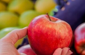 В Україні дорожчають овочі та фрукти: причини подорожчання та прогноз цін В-Україні-дорожчають-овочі-та-фрукти:-причини-подорожчання-та-прогноз-цін