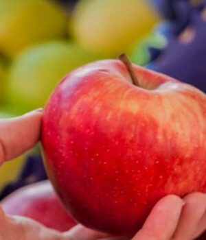 В-Україні-дорожчають-овочі-та-фрукти:-причини-подорожчання-та-прогноз-цін