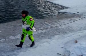 Знесилений лежав на кризі: у Луцьку рятувальники визволили з льодової пастки лебедя Знесилений-лежав-на-кризі:-у-Луцьку-рятувальники-визволили-з-льодової-пастки-лебедя