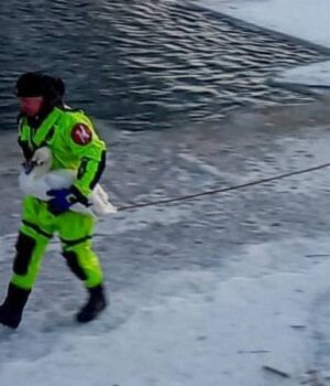 Знесилений-лежав-на-кризі:-у-Луцьку-рятувальники-визволили-з-льодової-пастки-лебедя