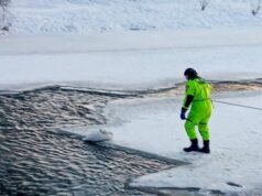 Із крижаної пастки у Луцьку бійці ДСНС врятували знесиленого лебедя Із-крижаної-пастки-у-Луцьку-бійці-ДСНС-врятували-знесиленого-лебедя