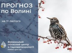 Якою буде погода у Луцьку та на Волині у середу, 11 лютого Якою-буде-погода-у-Луцьку-та-на-Волині-у-середу,-11-лютого