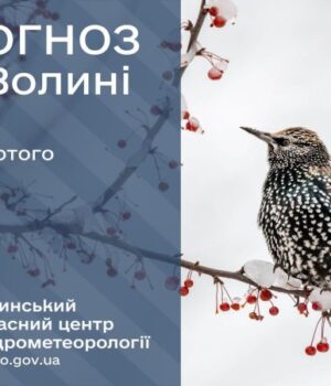 Якою-буде-погода-у-Луцьку-та-на-Волині-у-середу,-11-лютого