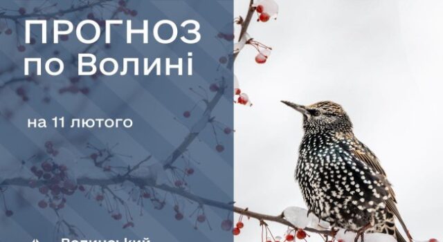 Якою буде погода у Луцьку та на Волині у середу, 11 лютого Якою-буде-погода-у-Луцьку-та-на-Волині-у-середу,-11-лютого